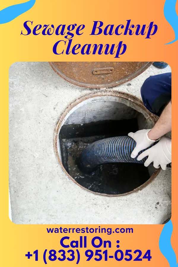 Sewage Backup Cleanup in Ventnor City, NJ